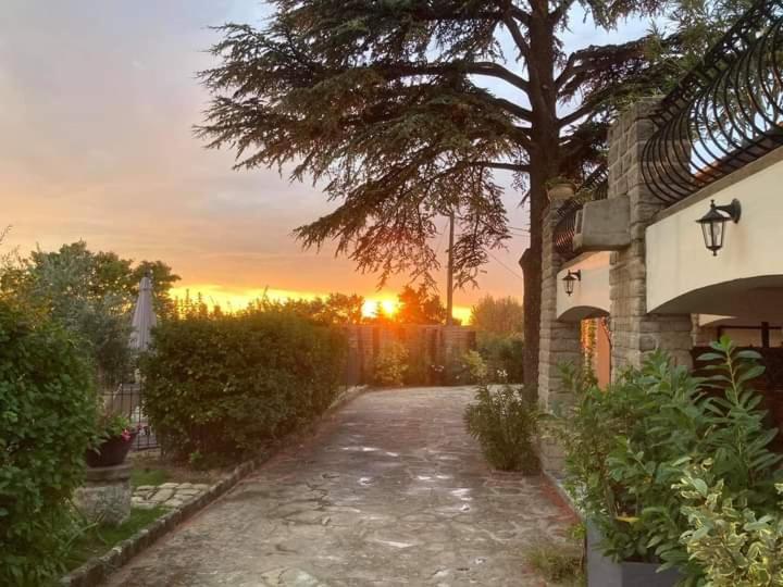 ヴァッケラス Terre De Bacchus Bed & Breakfast エクステリア 写真